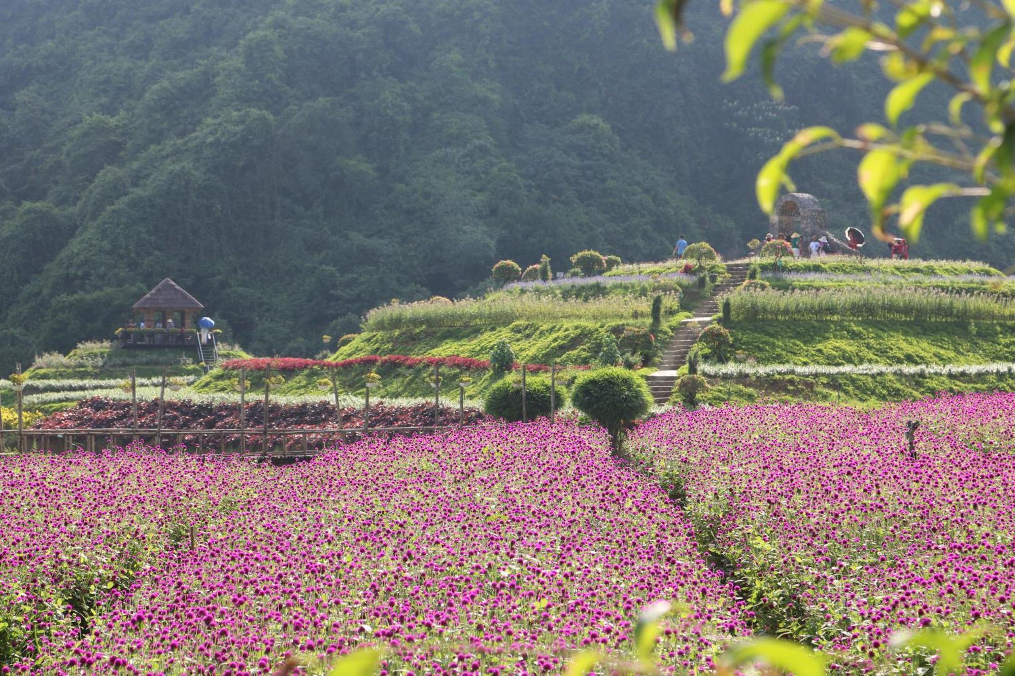 Thung Nham Resort 宁平 外观 照片