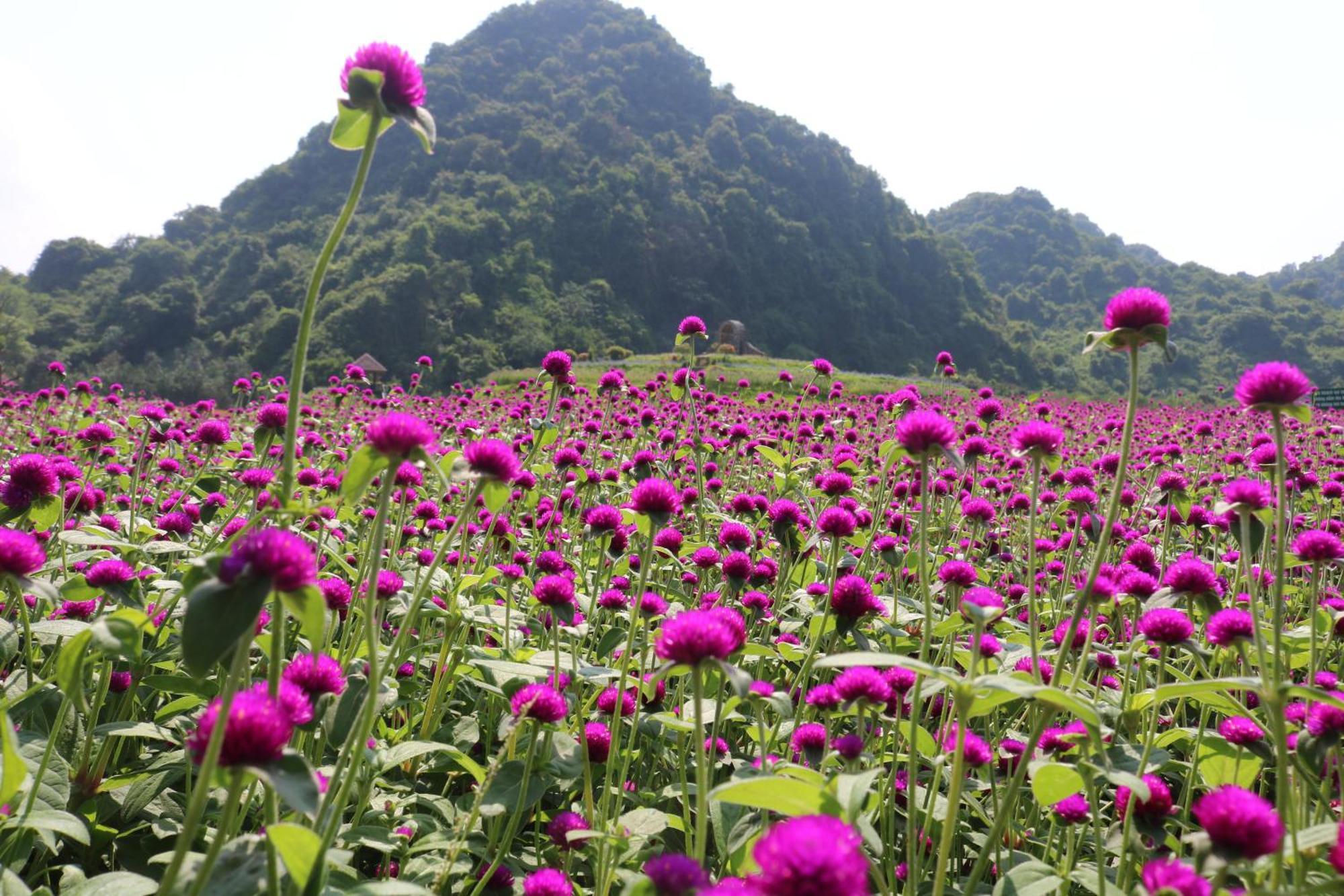 Thung Nham Resort 宁平 外观 照片