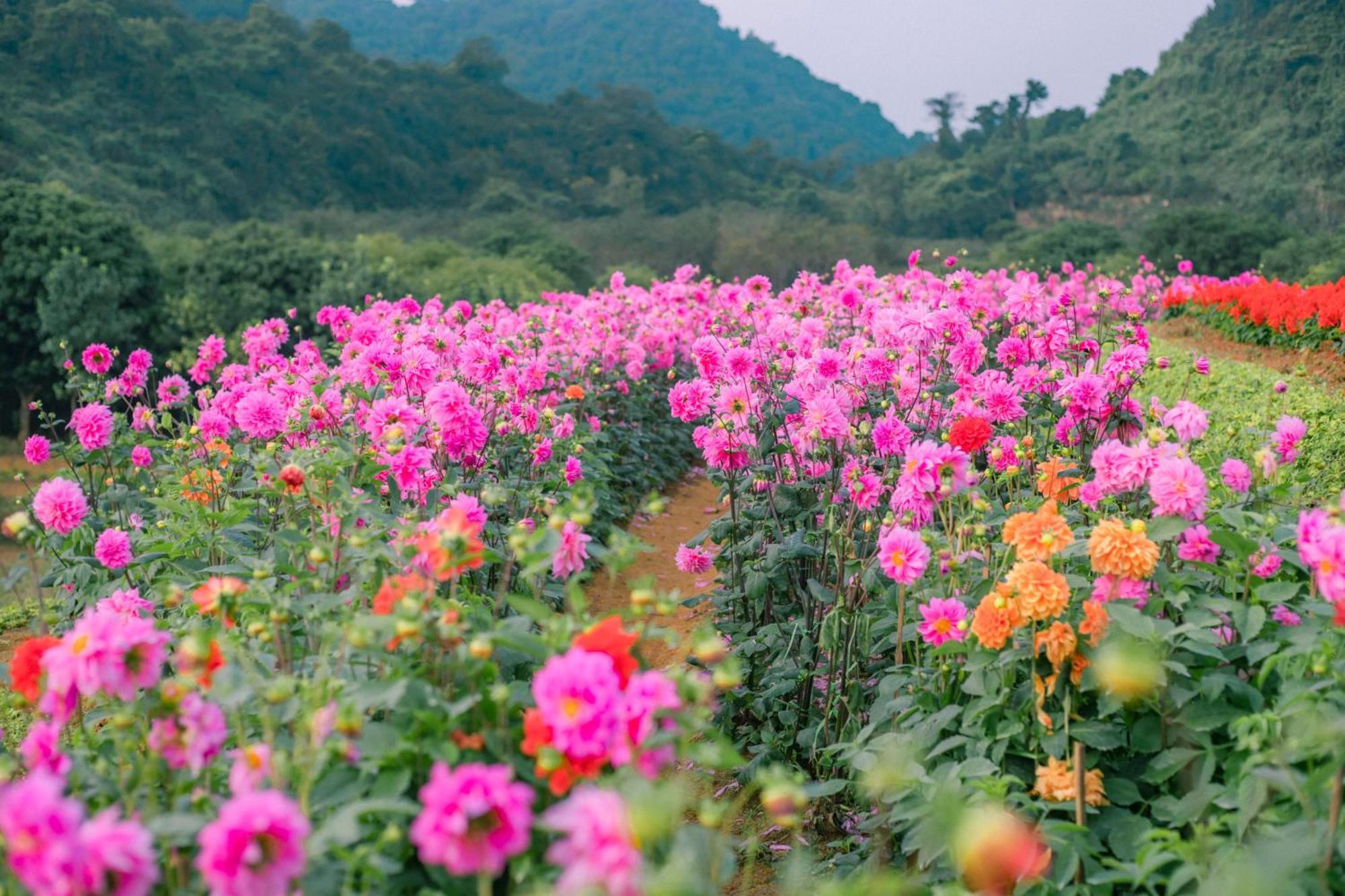 Thung Nham Resort 宁平 外观 照片