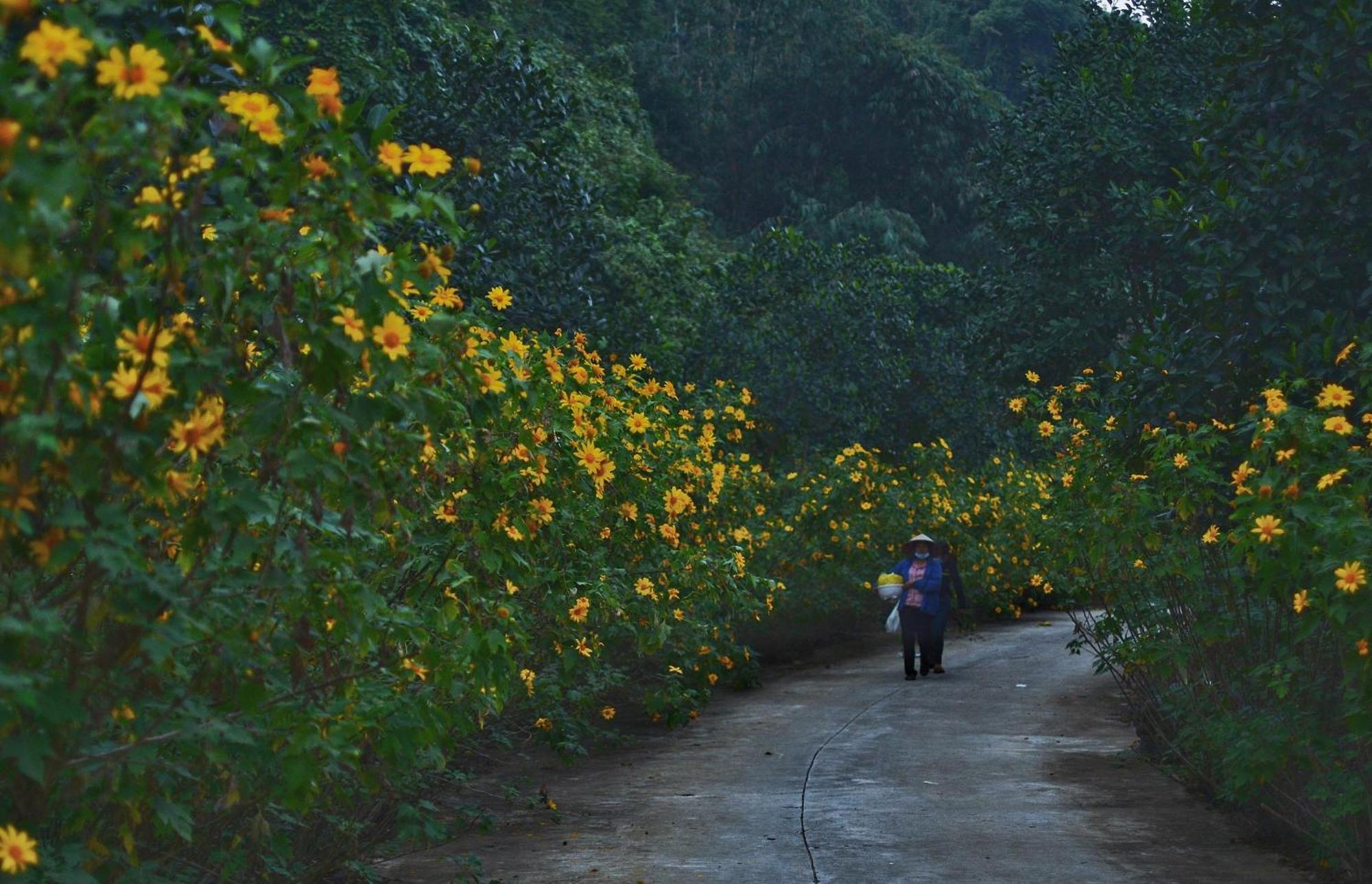 Thung Nham Resort 宁平 外观 照片