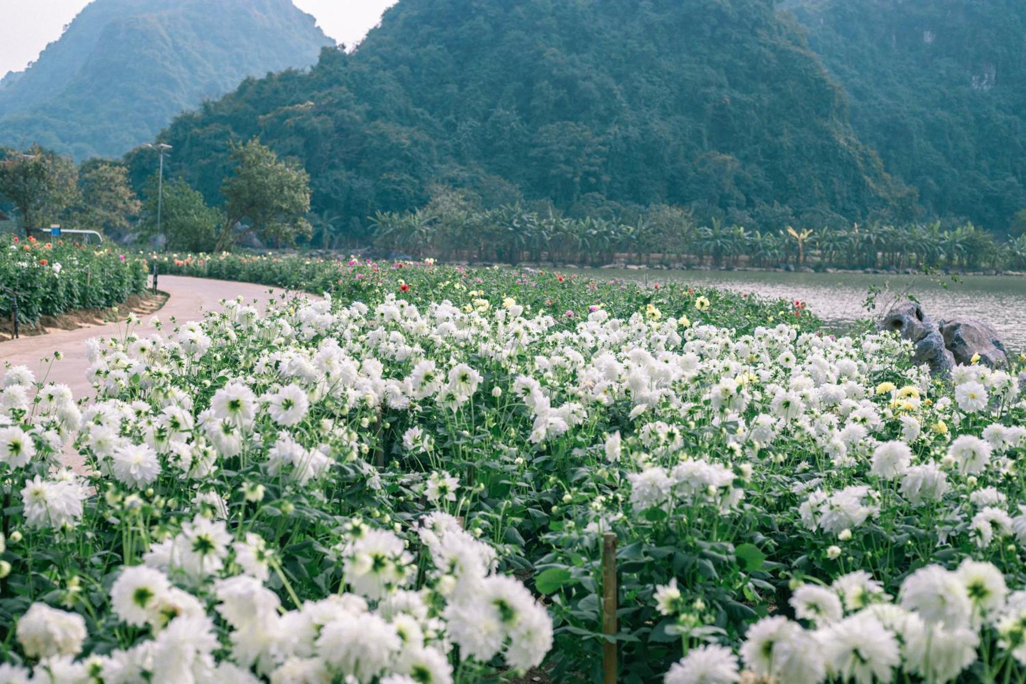 Thung Nham Resort 宁平 外观 照片